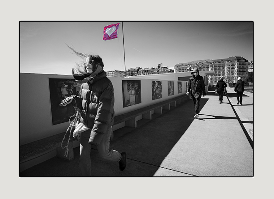 Exposition Homo artifex, Bains des Pâquis © Denis Ponté